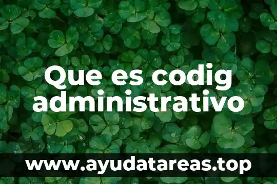 Que es codig administrativo