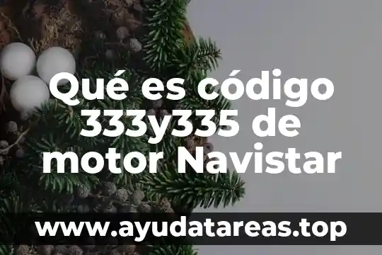 Que es el codigo hebreo 3 Qué es código 333y335 de motor Navistar