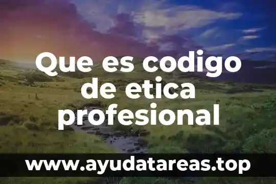 Que es el nombre codigo civil veracruz 3 Que es codigo de etica profesional