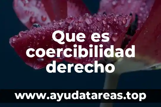 Que es la pena de muerte en derecho 4 Que es coercibilidad derecho