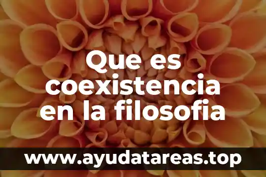 Qué es sofisma según la filosofía 6 Que es coexistencia en la filosofia