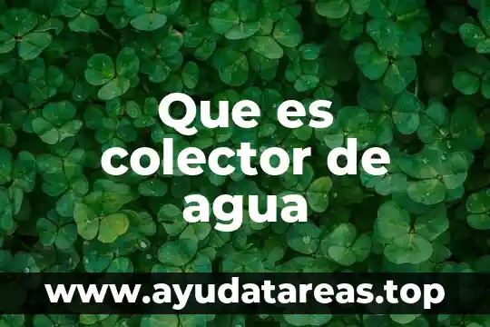 Que es colector de agua
