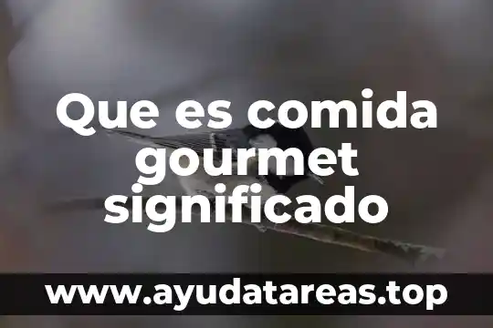 Estructura financiera su significado y que es 5 Que es comida gourmet significado