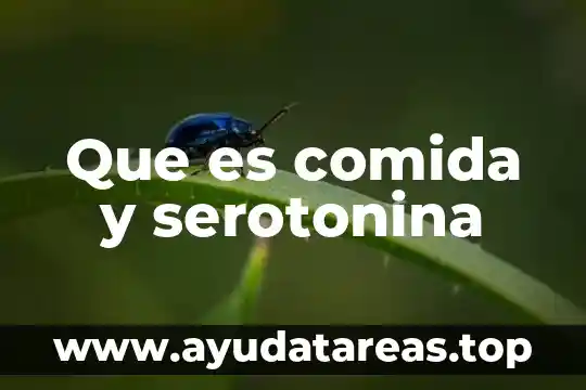 Que es soñar con cucarachas en la comida 8 Que es comida y serotonina