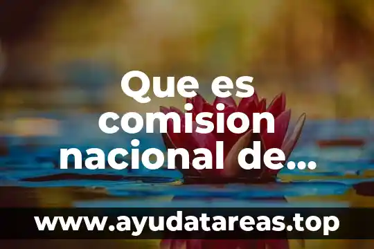 Que es libertad en valores catolica 6 Que es comision nacional de valores mexico