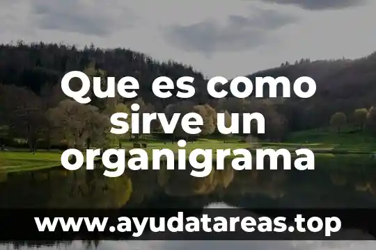 Qué es la estructura organizacional y organigrama diferencias 7 Que es como sirve un organigrama