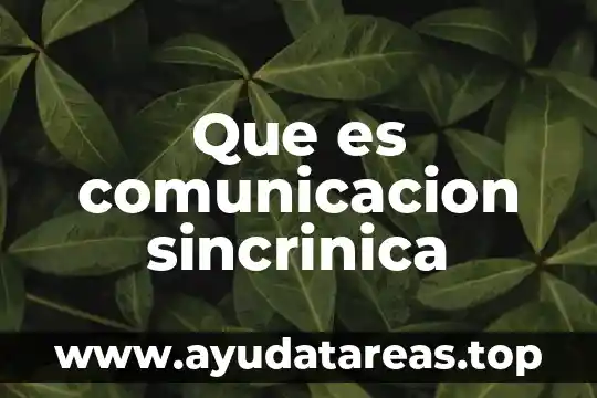 Que es comunicacion sincrinica