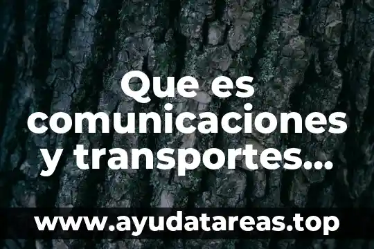 Población definición qué es y concepto 7 Que es comunicaciones y transportes de una poblacion