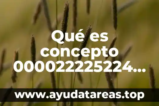 Qué es concepto 000022225224 banco