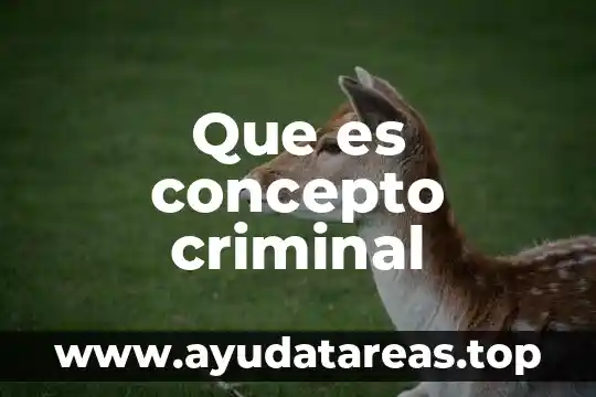 Concepto basico de que es la literatura 5 Que es concepto criminal