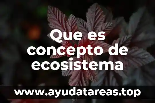 Que es concepto de ecosistema