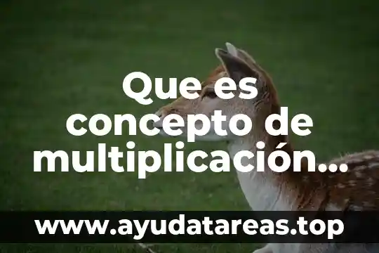 Que es concepto de multiplicación de fracciones