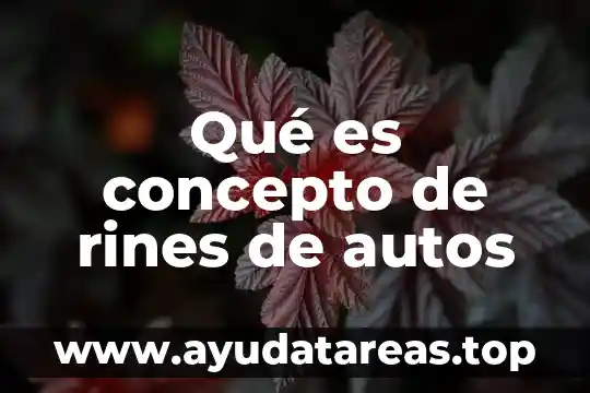 Qué es concepto de rines de autos