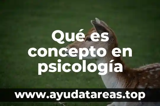 Qué es concepto en psicología