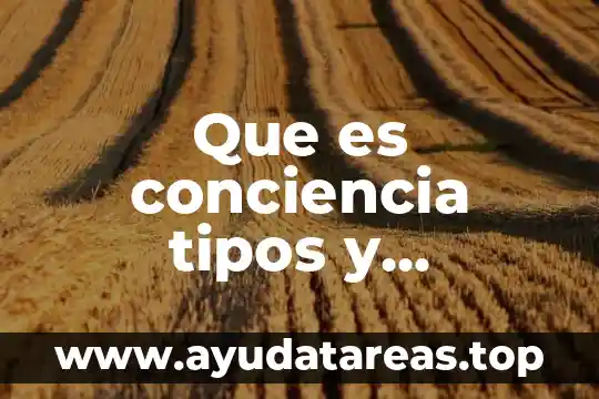 Line que es y caracteristicas 5 Que es conciencia tipos y caracteristicas
