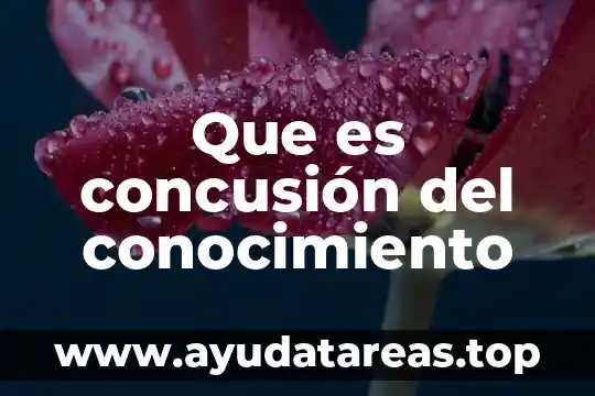 Para que es importancia conocer los tipos de conocimiento 6 Que es concusión del conocimiento