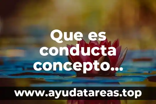 Concepto de que es fluido 8 Que es conducta concepto pedagogico