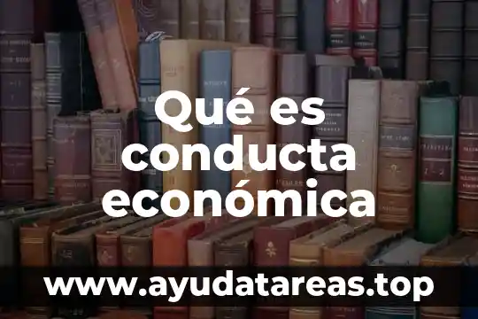 Qué es conducta económica