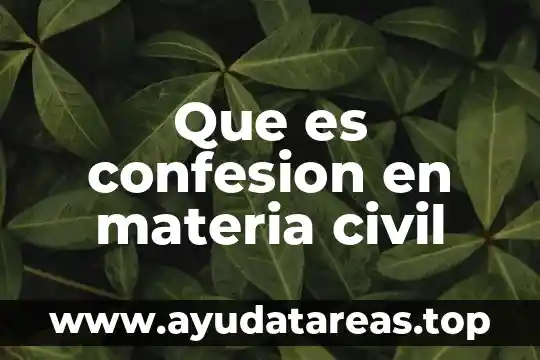 Justicia civil que es 4 Que es confesion en materia civil