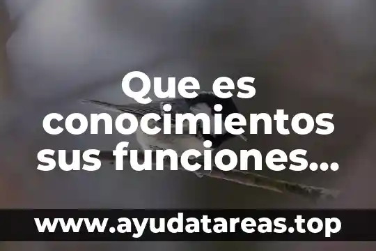 Que es minerales suu caracteristicas 8 Que es conocimientos sus funciones tipos características