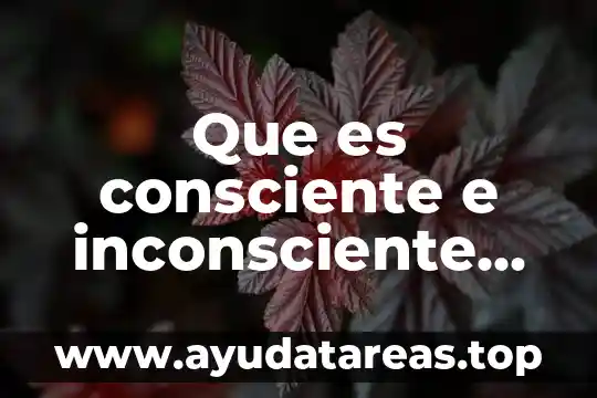 Que es hacer consciente lo inconsciente 5 Que es consciente e inconsciente en psicologia