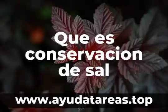 Que es programa de conservacion del agua 7 Que es conservacion de sal