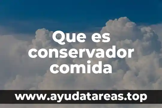 Que es conservador comida