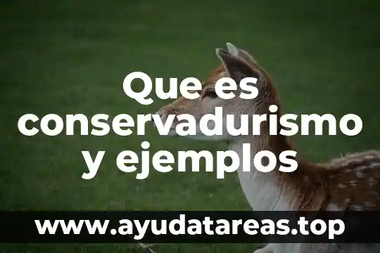 Que es conservadurismo y ejemplos