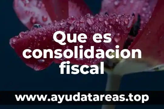 Qué es el número de control en fiscal 6 Que es consolidacion fiscal