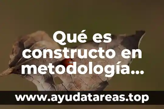 Qué es constructo en metodología de la investigación