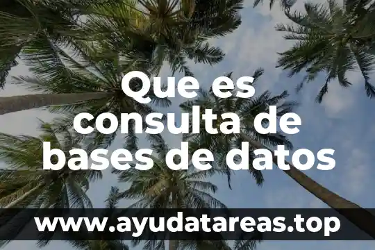 Que es el ciclo del agua y sus bases 3 Que es consulta de bases de datos