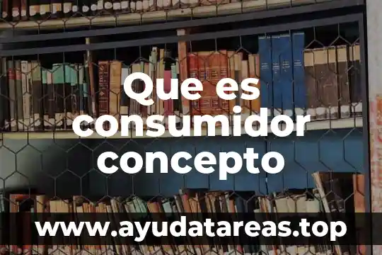 Que es consumidor concepto