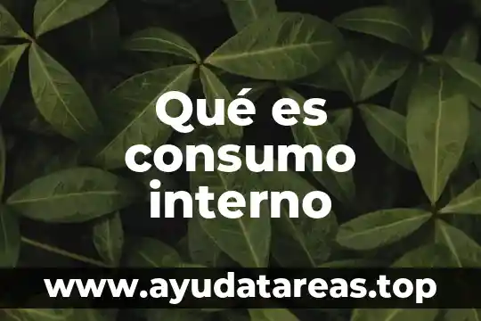 Que es el consumo percapita de agua 5 Qué es consumo interno