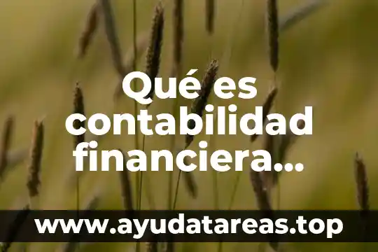Qué es contabilidad financiera concepto