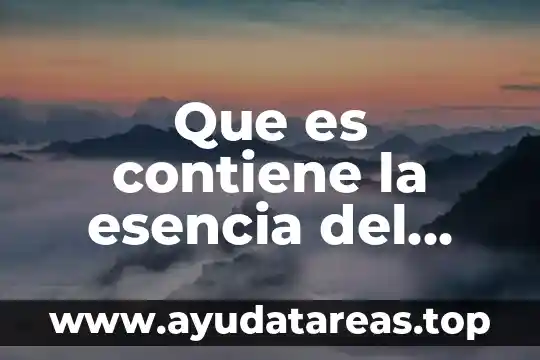 Que es ela observacion del objeto o fenomeno de invetigacion 3 Que es contiene la esencia del objeto o la realidad