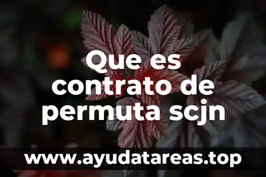 Qué es un convenio modificatorio de contrato 5 Que es contrato de permuta scjn