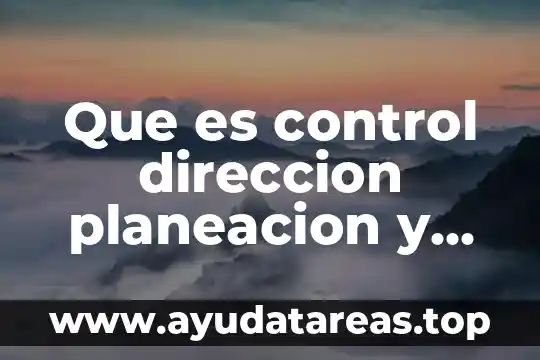 Que es control direccion planeacion y organizacion