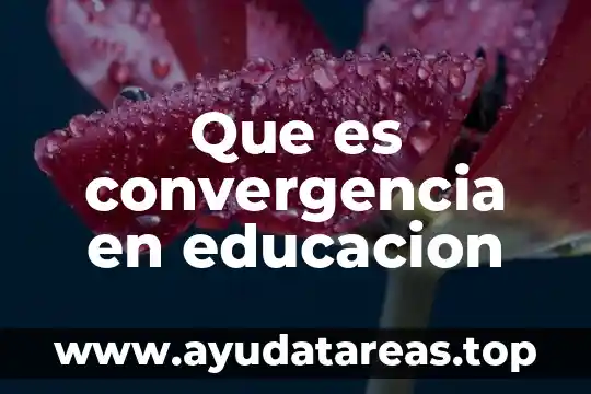 Que es convergencia en educacion