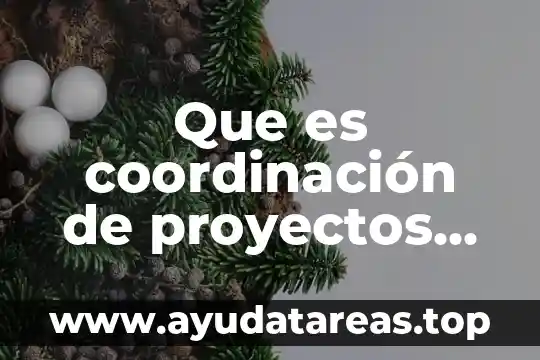 Que es escarpado en sociales 7 Que es coordinación de proyectos sociales