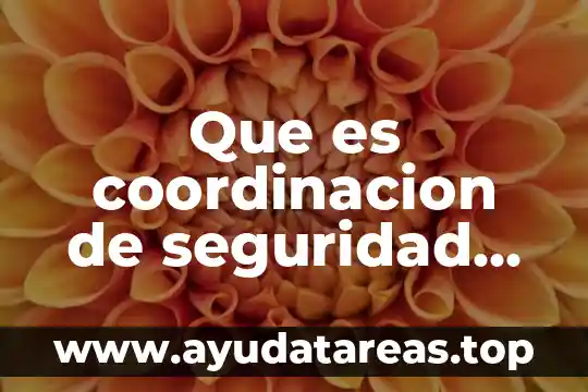 Que es coordinacion de seguridad nacional