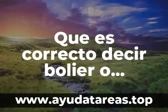 Que es correcto decir bolier o calentador solar