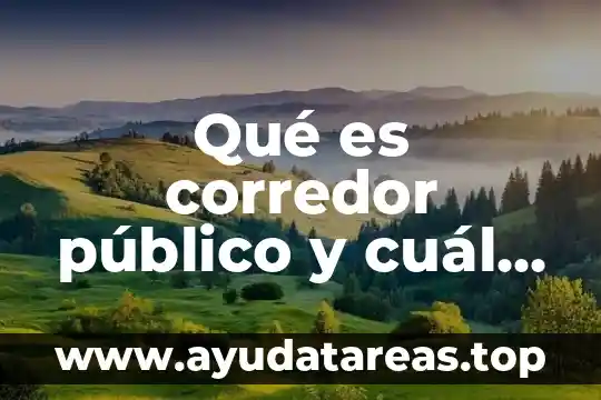 Que es la etiqueta html y su función 8 Qué es corredor público y cuál es su función