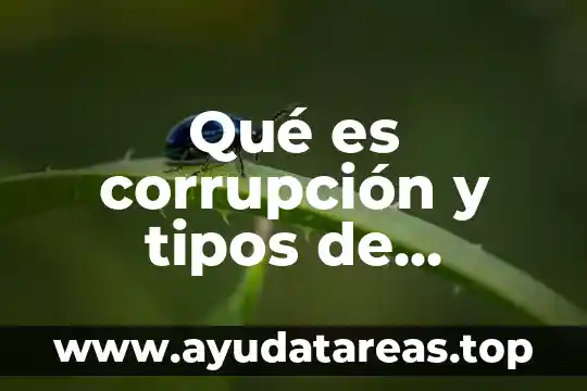 Qué es la corrupción y sus tipos 7 Qué es corrupción y tipos de corrupción
