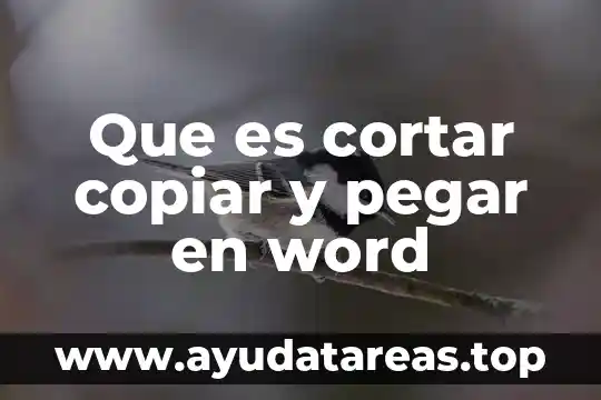 Que es cortar copiar y pegar en word