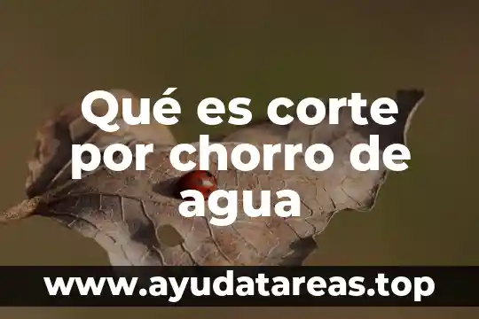 De que es la migracion interna de libro de altas 3 Qué es corte por chorro de agua