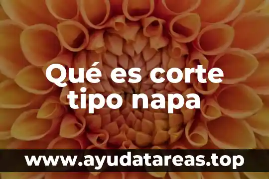 Qué es un tipo de expresión periódica mixta 5 Qué es corte tipo napa