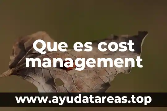 Que es revenue management concepto 5 Que es cost management
