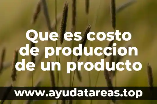 Que es costo de produccion de un producto