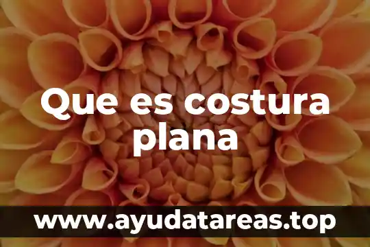 Que es costura plana