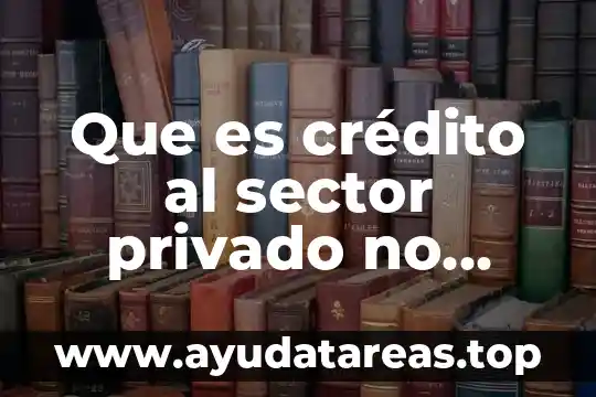 Que es crédito al sector privado no financiero